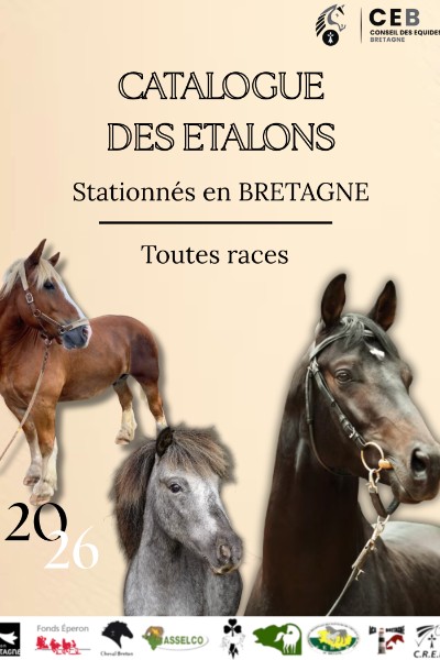 Ouverture des inscriptions pour le Catalogue des Étalons 2026