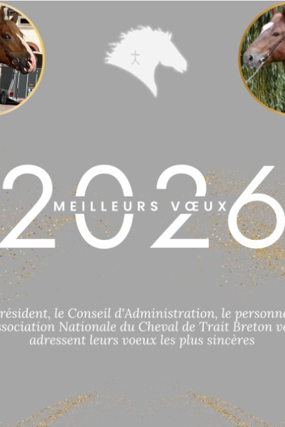 L'ANCTB vous souhaite de bonnes fêtes de fin d'année