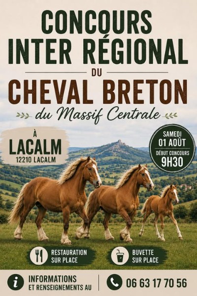 CONCOURS INTER REGIONAL _ A LACALM _ 01 AOUT 2026 _ ASSO CHEVAL BRETON MASSIF CENTRAL (15)