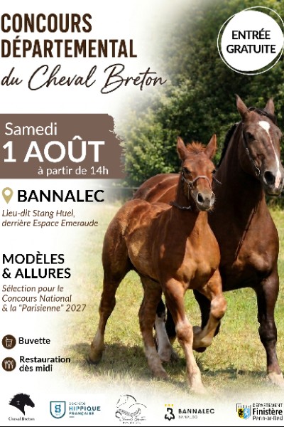 CONCOURS DEPARTEMENTAL DU CHEVAL BRETON _ BANNALEC 01/08/2026 _ SH L'AVEN