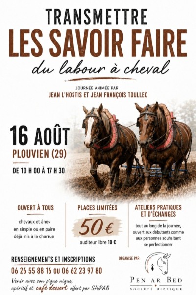 16 aout à Plouvien (29) Transmettre les savoir faire du labour à cheval