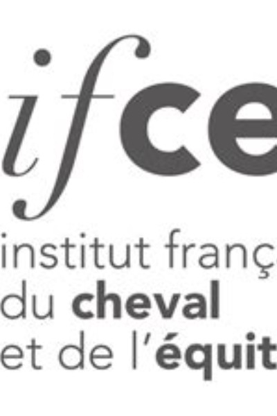 IFCE : Solutions alternatives aux fourrages traditionnels pour la filière équine