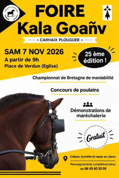 🐴 Foire aux chevaux – Kala Goañv à Carhaix le 07.11 à 9h00