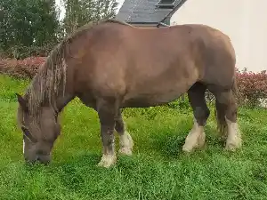 Image de LINA DES COMMUNS