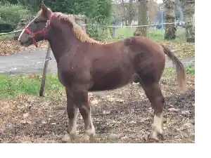 Image de POWER DU MOULIE