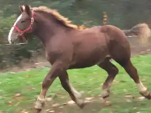 Image de POWER DU MOULIE