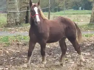 Image de POWER DU MOULIE