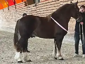 Image de OBIWAN LIW AN AMZER