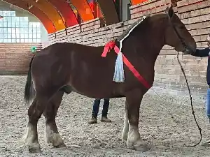 Image de OCEAN DE KERVRANTON