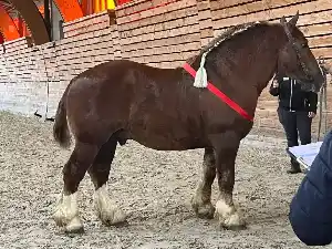 Image de ORAGE DU JAUDY