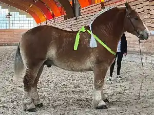 Image de OSCAR DE KERBARNOU