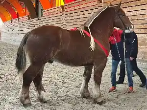 Image de OURASI DE VEBRET