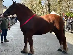 Image de OCEAN DE GRACE