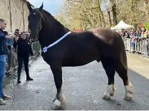 Image de OCEAN D'IROISE