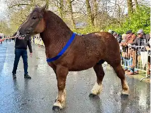 Image de OLYMPE AN ABAD