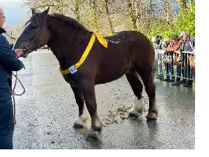 Image de ORION AN ABAD