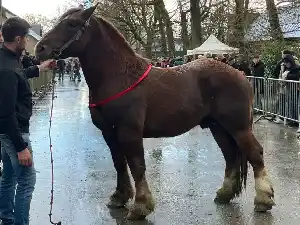 Image de OSCAR DE KARAEZ