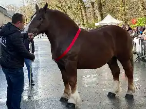 Image de OSCAR DES COMMUNS