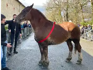 Image de OSDUR DE KARAEZ