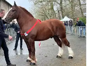 Image de OXBOW DU CRANN