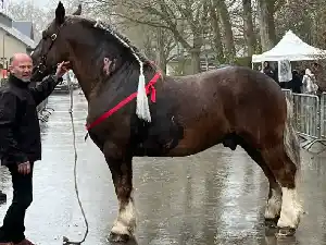 Image de NAOS ST DIDIER